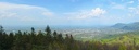 Prawnik